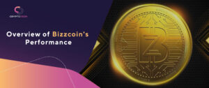 bizzcoin overview